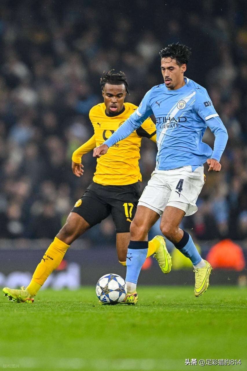 官方网站登录界面-20242025德甲积分榜